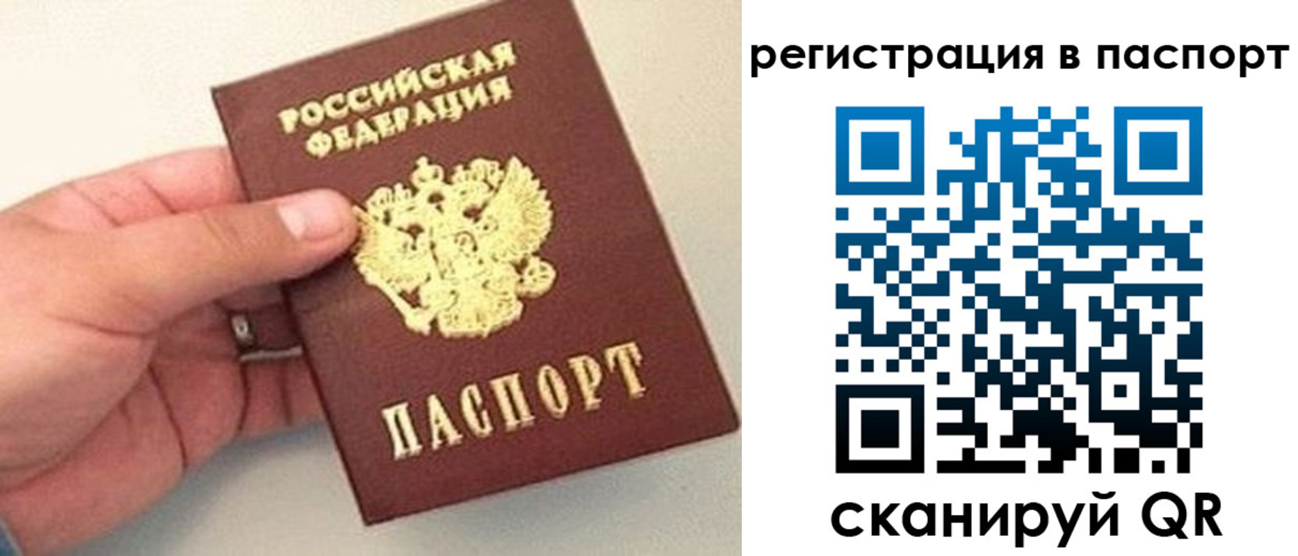 прописка законно в Красноярском крае
